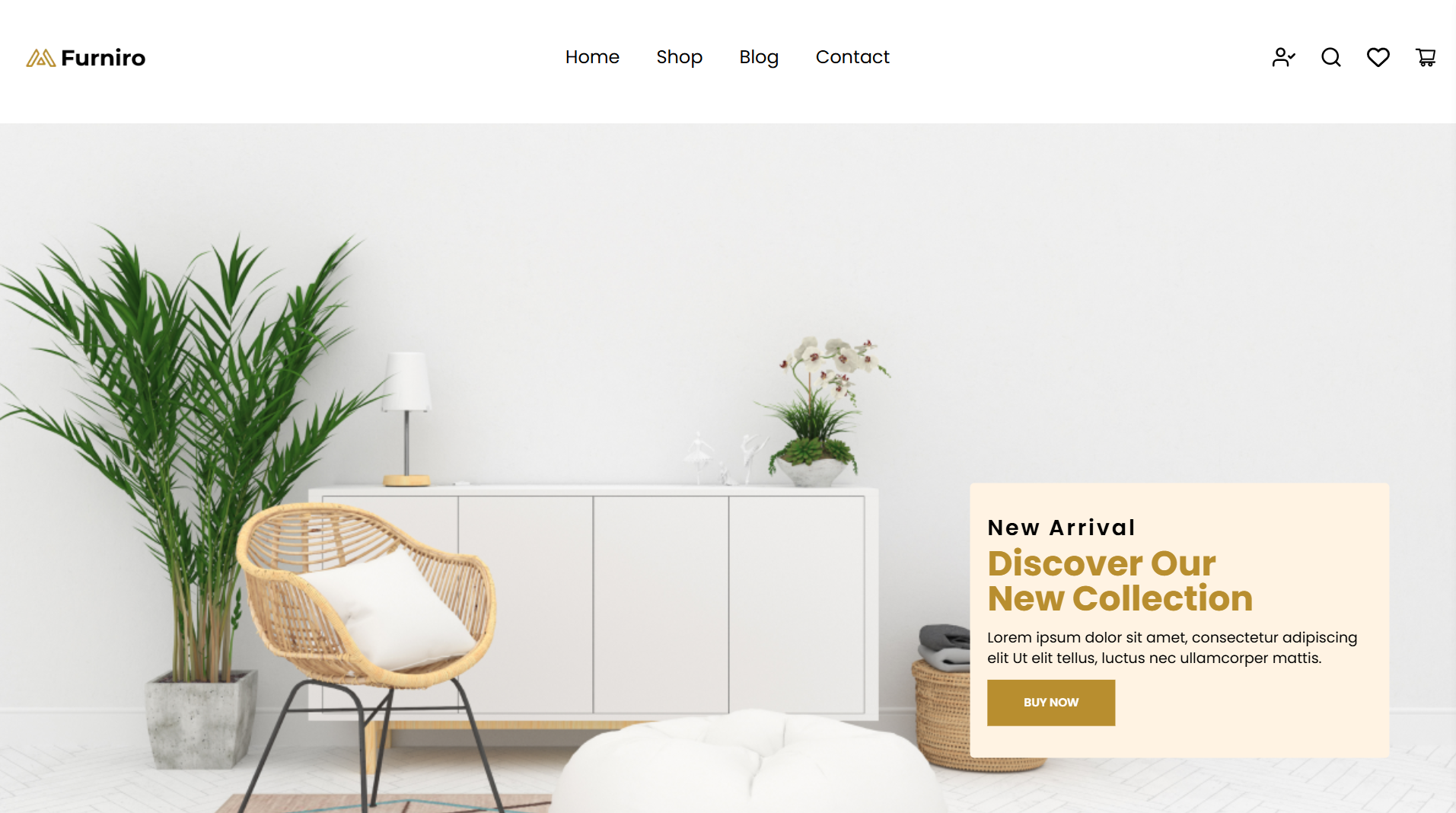 Furniro Furniture
